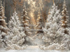 Frosted Fantasy Forest (CC)