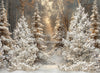 Frosted Fantasy Forest Lights (CC)