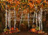 Autumn Illumination 6x8