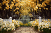 Dreamy Daffodil Stroll (JA)