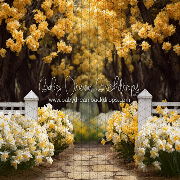 X Drop Dreamy Daffodil Stroll (JA)