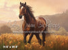Fall Horse Pasture (AZ)
