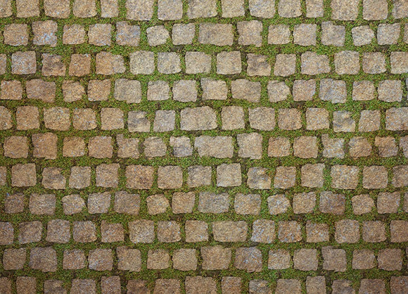 Moss Among Stones Floor