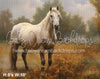 Painted White Horse Fall Pasture (AZ)
