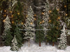 Place in the Pines String Lights - 6x8 - JA