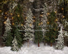 Place in the Pines String Lights