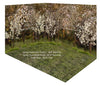 Spring Countryside Forest and Forest 2 Room