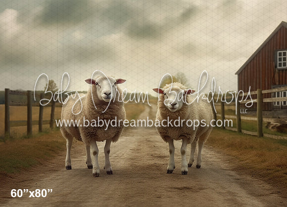 Sheep on the Farm (AZ)