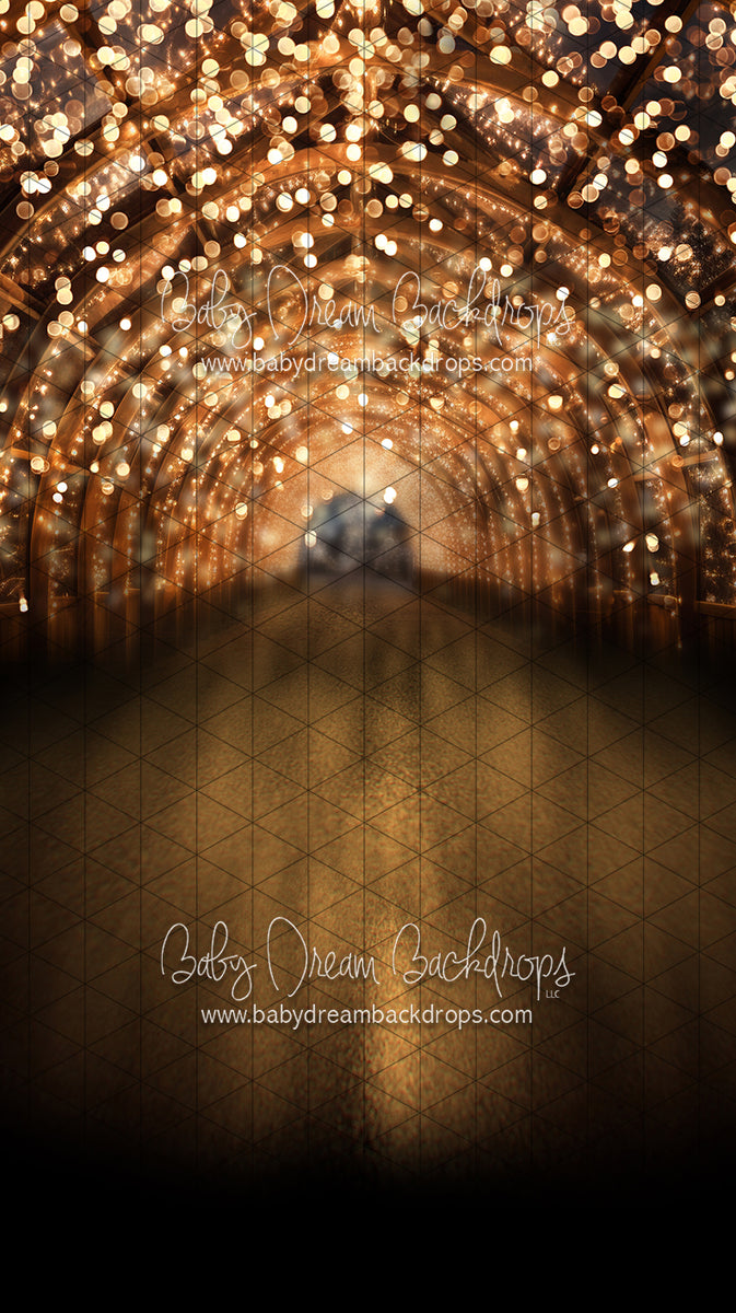 http://babydreambackdrops.com/cdn/shop/products/Sweeps-Tinsel-Town-Tunnel-8x14-JA_WEB_1200x1200.jpg?v=1698093427