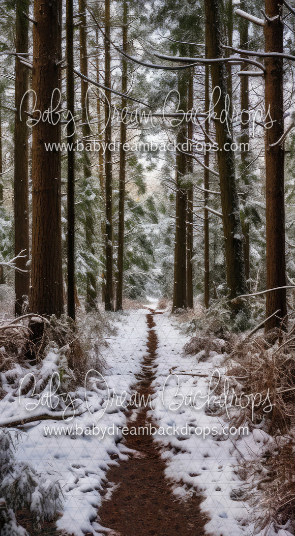 Winter Whispering Woods (AD)