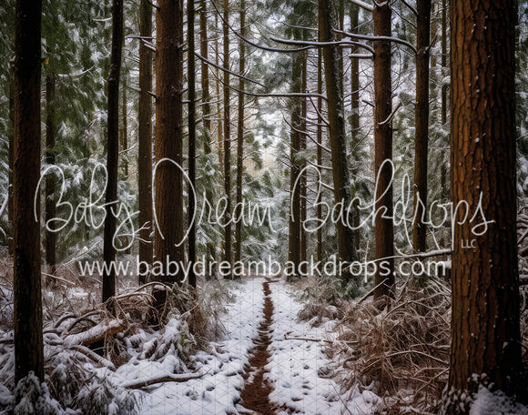 Winter Whispering Woods (AD)