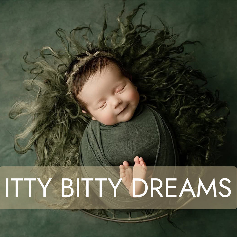Itty Bitty Dreams