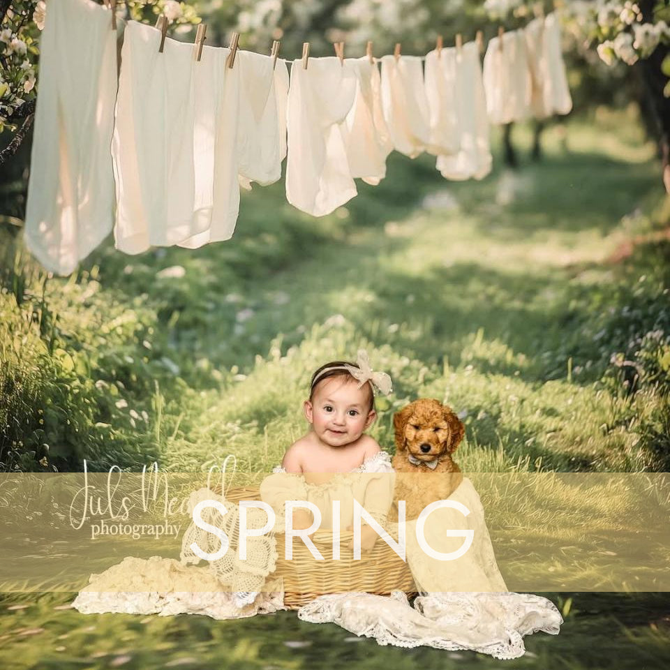 Spring 2026