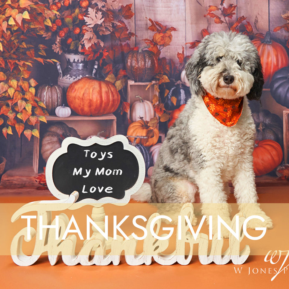 Thanksgiving