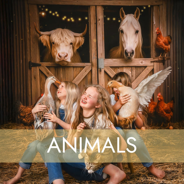 Animals