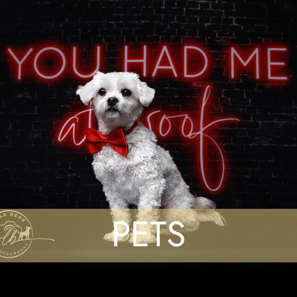 Pets