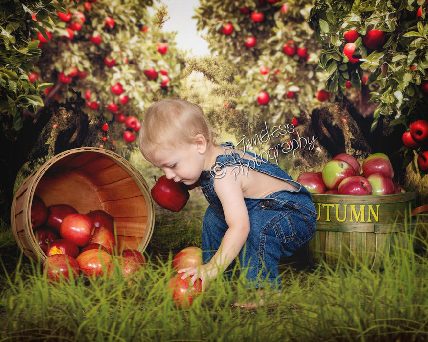 Sweeps Apple Orchard Path (Grass) (JA)