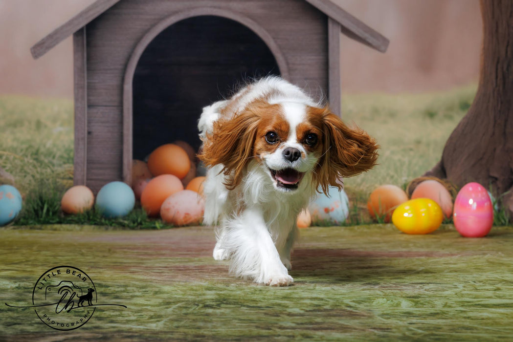 Easter Egg Puppy House (JA)