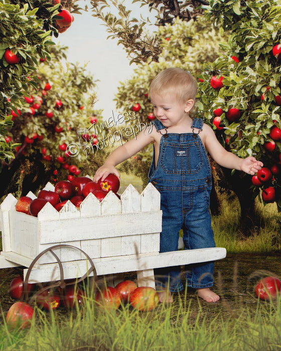 Sweeps Apple Orchard Path (Grass) (JA)