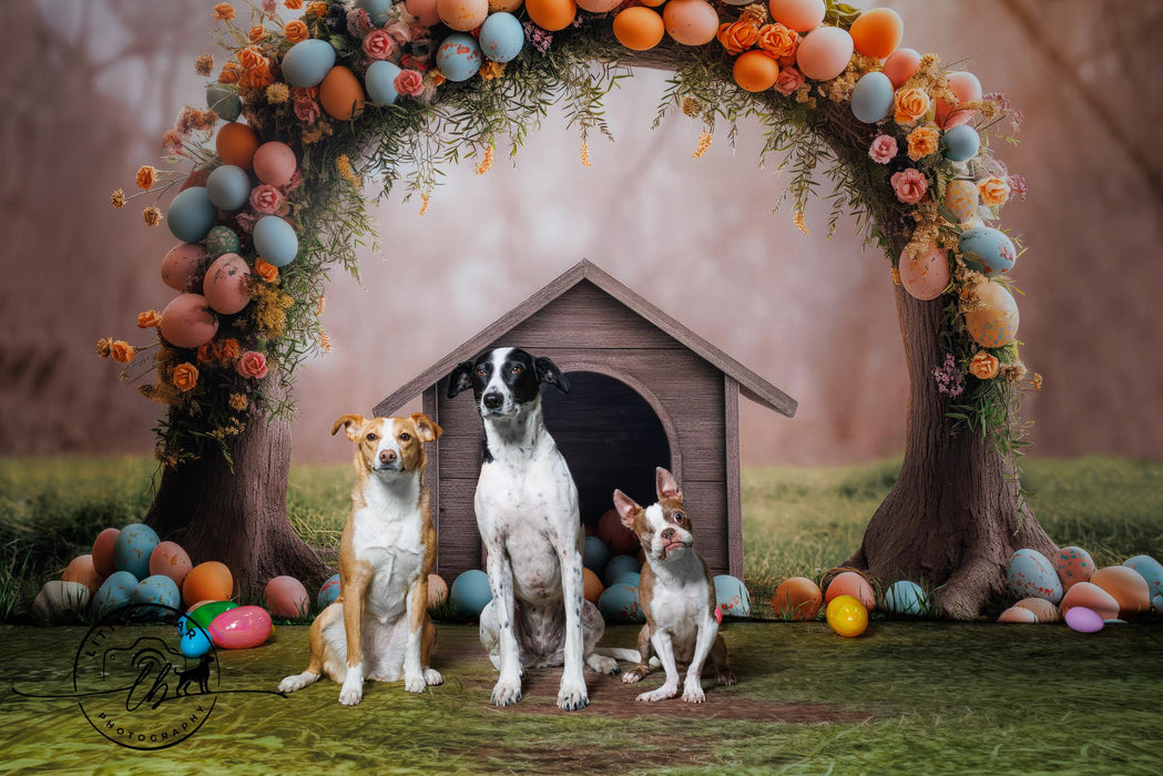 Easter Egg Puppy House (JA)