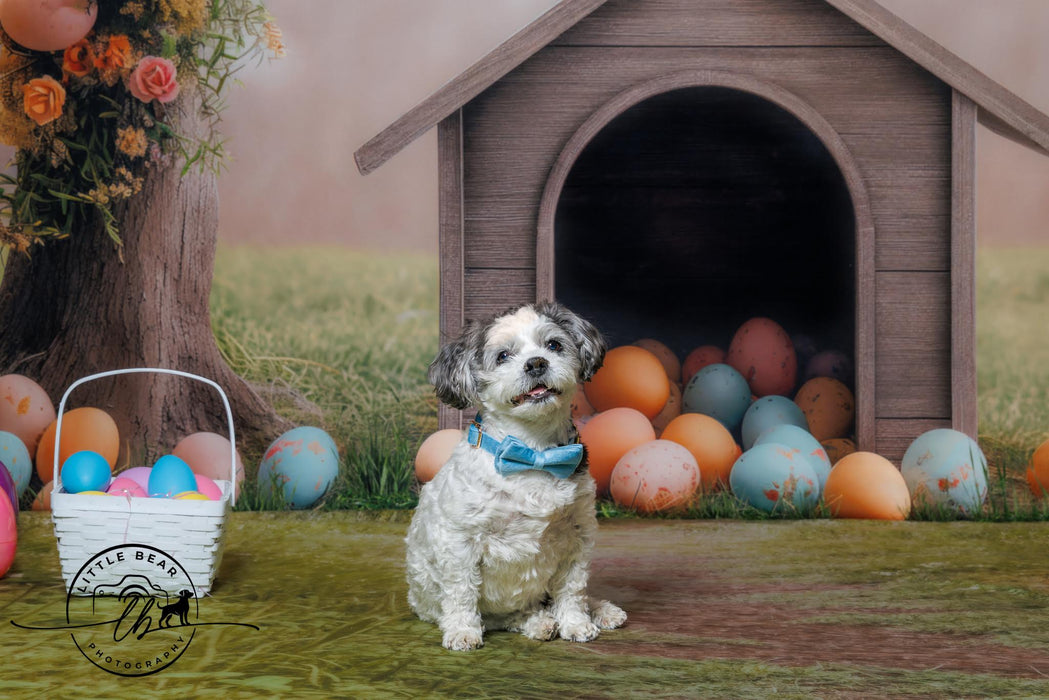 Easter Egg Puppy House (JA)