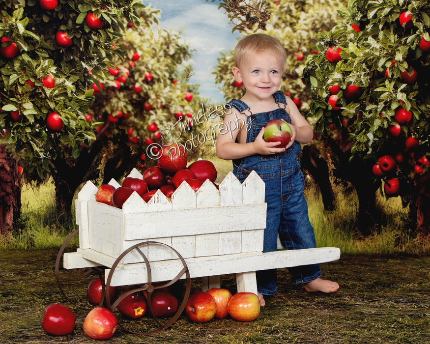 Sweeps Apple Orchard Path (Grass) (JA)