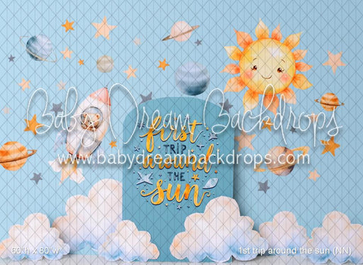 1st trip around the sun (NN)