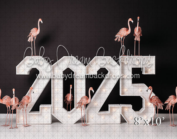 2025 Flamingo (VR)