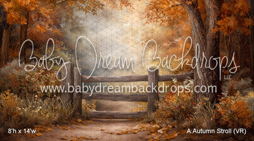 A Autumn Stroll (VR)