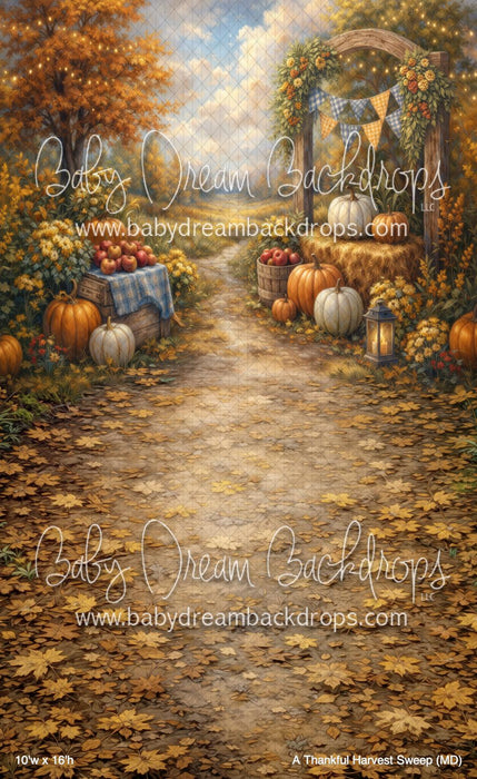 A Thankful Harvest Sweep (MD)