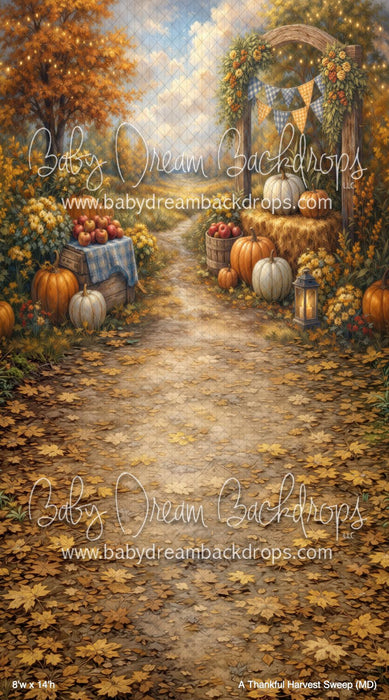 A Thankful Harvest Sweep (MD)