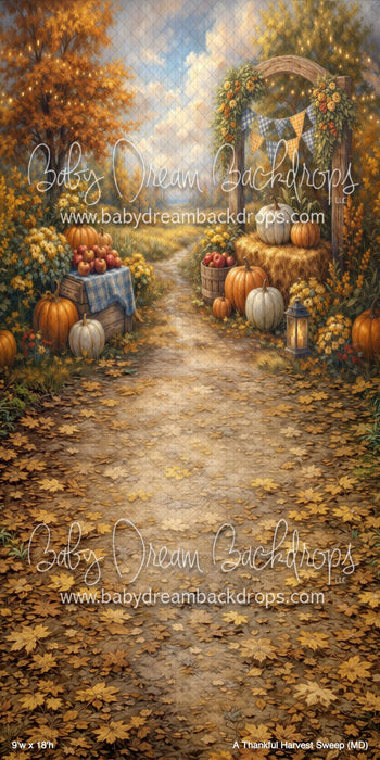 A Thankful Harvest Sweep (MD)
