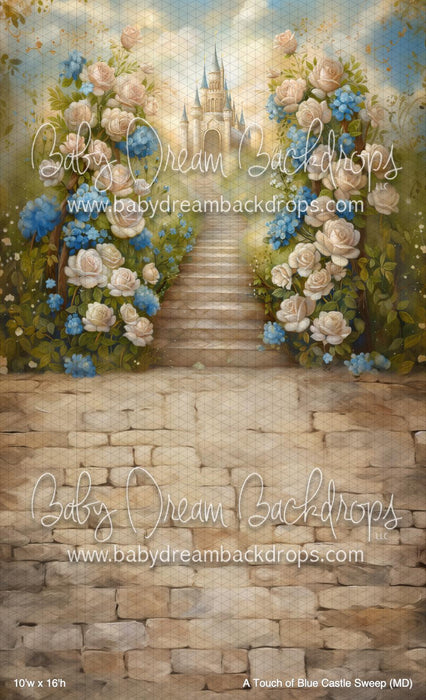 A Touch of Blue Castle Sweep (MD)