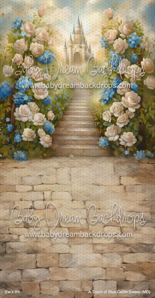 A Touch of Blue Castle Sweep (MD)