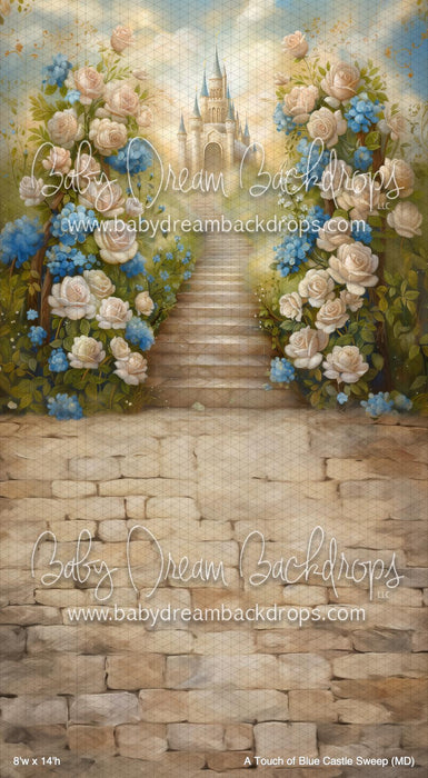 A Touch of Blue Castle Sweep (MD)