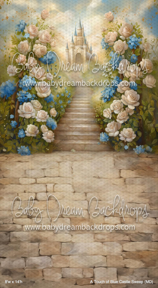 A Touch of Blue Castle Sweep (MD)