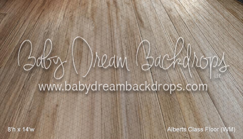 Alberts Class Floor (WM)