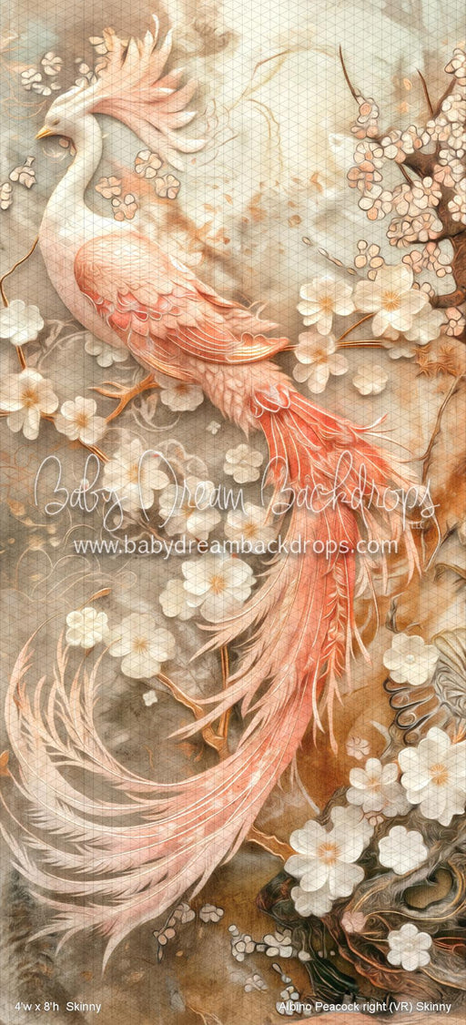 Albino Peacock right Skinny (VR)