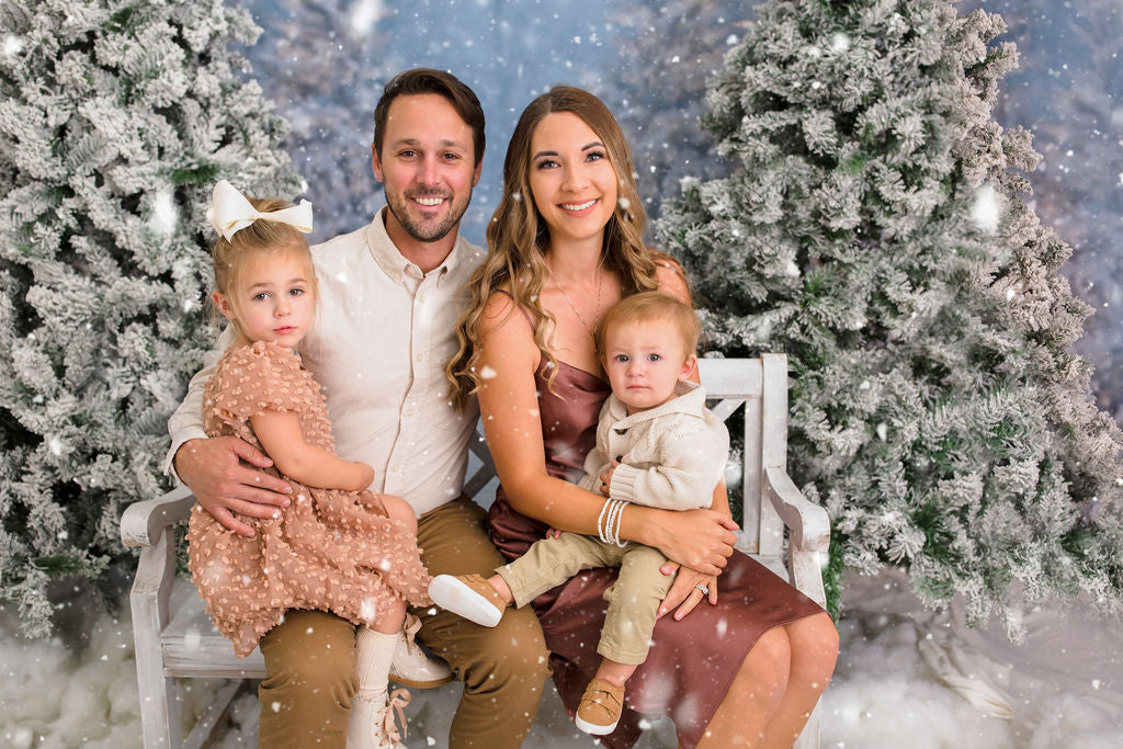 Christmas Trees in Snow with Lights (VR)