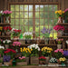 All Abloom Apothecary Window (JA)