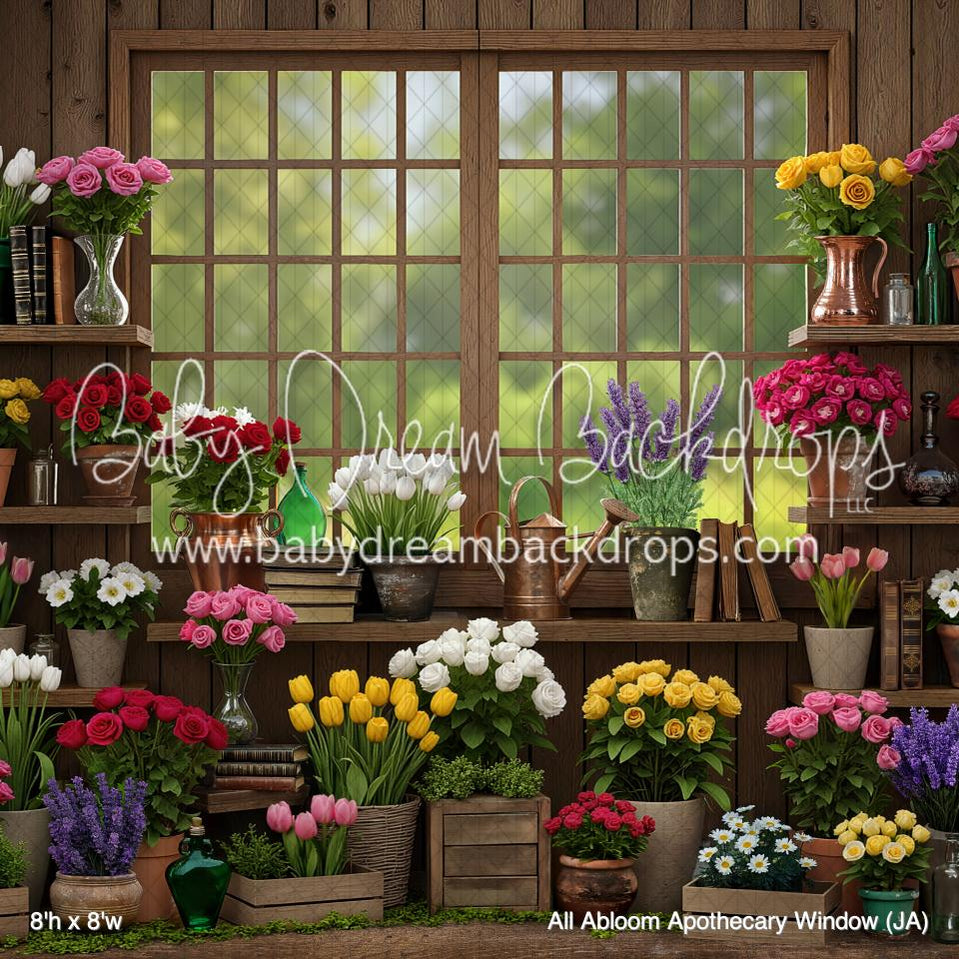 All Abloom Apothecary Window (JA) — Baby Dream Backdrops