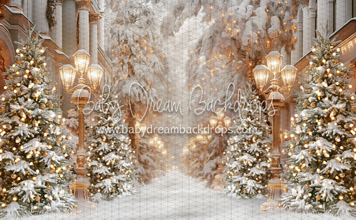 All Aglow Street (JA)