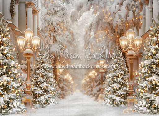 All Aglow Street (JA)