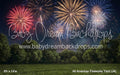All American Fireworks Yard (JA)