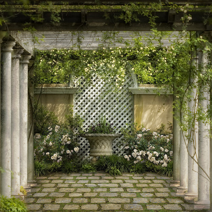 All is Quiet - 8x8 - CC