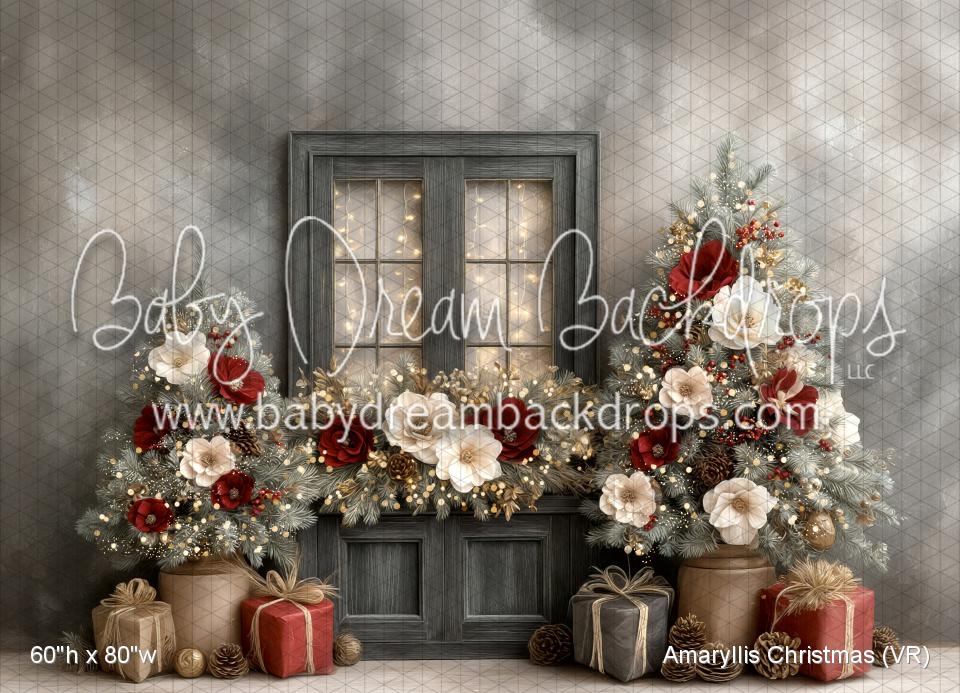 Amaryllis Christmas (VR)