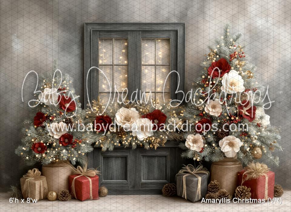 Amaryllis Christmas (VR)