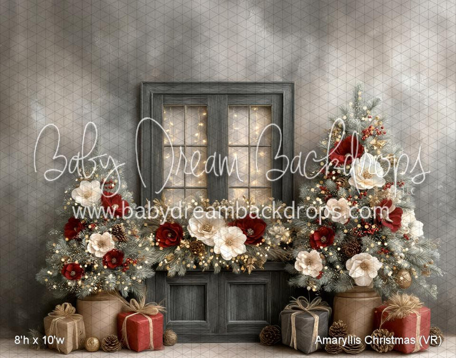 Amaryllis Christmas (VR)