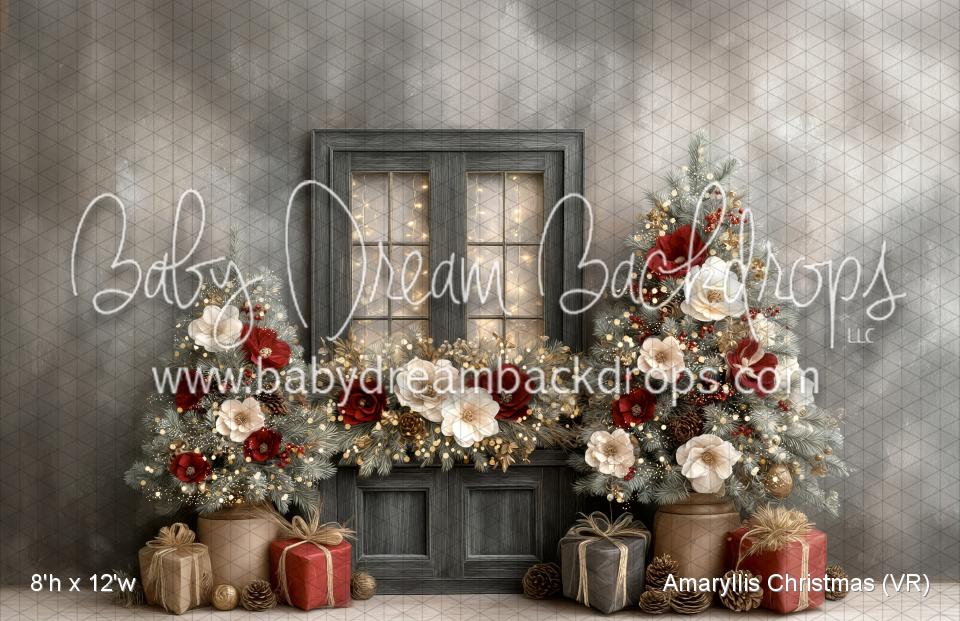 Amaryllis Christmas (VR)