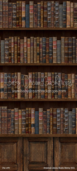 American Library Books Skinny (CC)